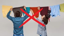 La tendencia que conquista hogares. La tendencia que conquista hogares.