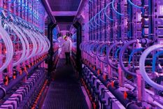 Vaxa baña las microalgas con una luz rosa-violeta Foto: VAXA