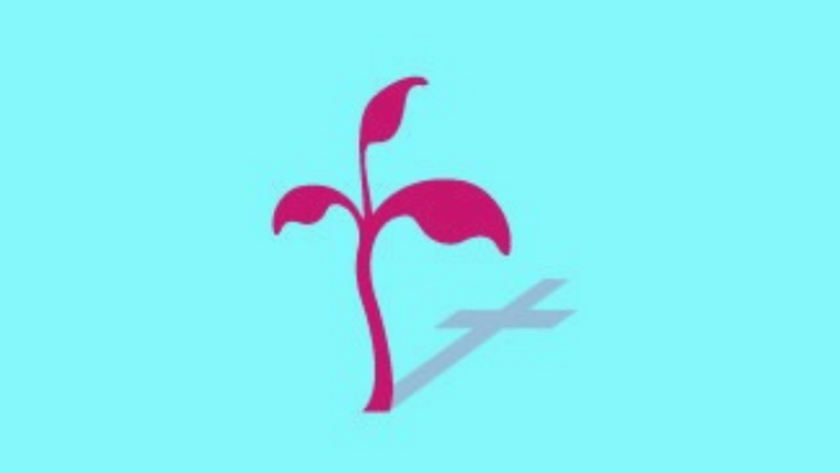 Test de personalidad