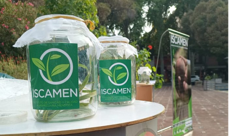 Habrá microcharlas cada 15 minutos en la jornada de ciencia del Iscamen.