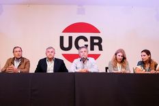 la ucr dividida por la postura del partido frente al gobierno