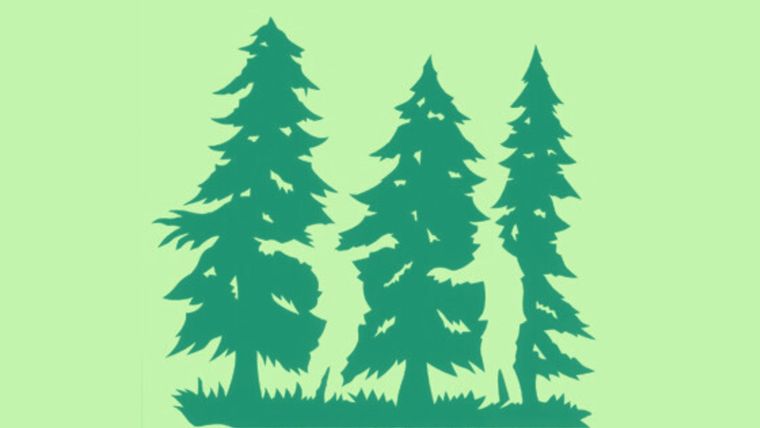 Test de personalidad