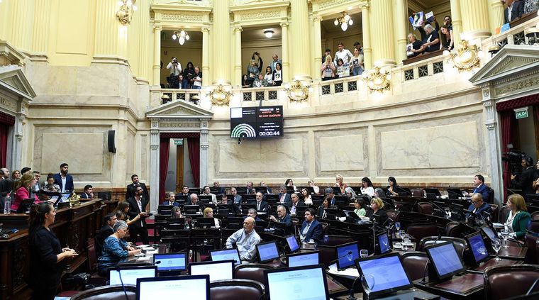 Senado El Senado empezó el debate y analizan cambios. Crédito: Prensa Senado Foto: Prensa Senado Nacional