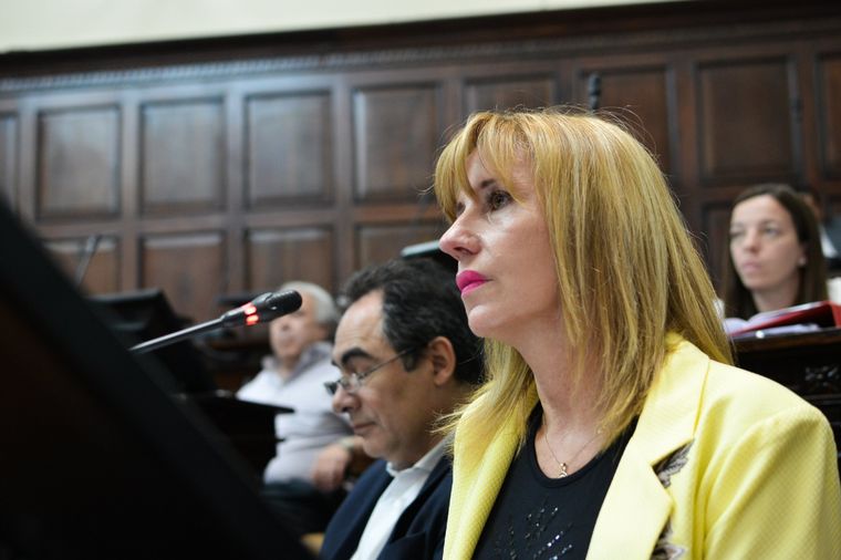 La senadora radical demandaba casi $ 19 millones a la ART tras sufrir un choque fuera de su horario de trabajo Foto: Twitter senadores Mendoza