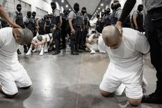 Imagen de algunos de los deportados desde EE.UU. en el Cecot. Foto: Getty Images