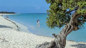 Aruba se posiciona como el lugar caribeño más elegido por turistas durante el verano 2026.