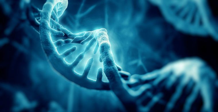 Uno de los puntos de mayor impacto para la salud pública en Argentina es el vínculo entre el ADN y las enfermedades metabólicas. Uno de los puntos de mayor impacto para la salud pública en Argentina es el vínculo entre el ADN y las enfermedades metabólicas.