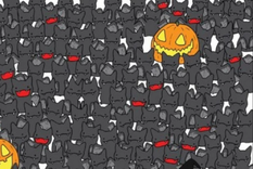 ACERTIJO VISUAL ACERTIJO VISUAL, RETO VISUAL, GATO Foto: ARCHIVO