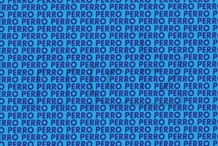 ACERTIJO VISUAL ACERTIJO VISUAL, RETO VISUAL, PALABRA Foto: MDZ ONLINE