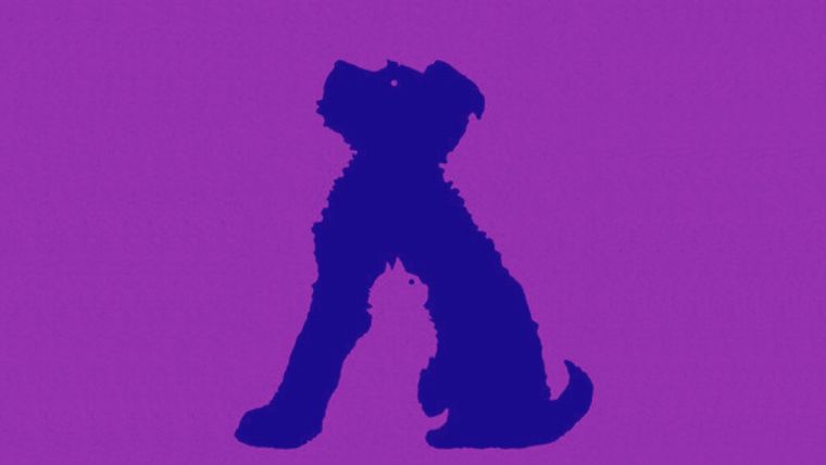 Test de personalidad