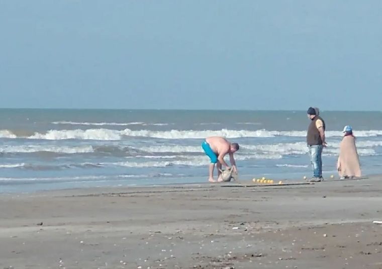 El hombre cubrió al delfín con una manta y se lo llevó de la playa