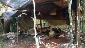 El campamento clandestino fue encontrado durante un patrullaje ambiental en una zona protegida de Misiones.