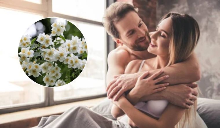 El ritual del jazmín para tener mayor fortuna en el amor.