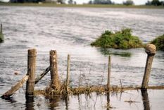 Más de dos millones de hectáreas se encuentran bajo el agua en la provincia de Buenos Aires y otras tres millones están seriamente comprometidas para la producción agrícola y ganadera