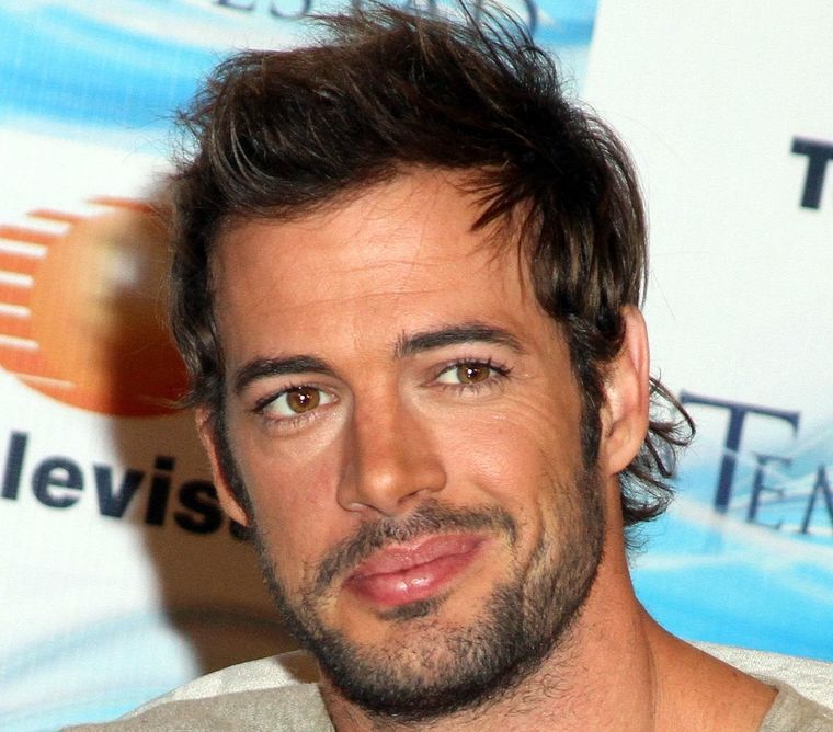 William Levy está atravesando por su mejor momento profesional.