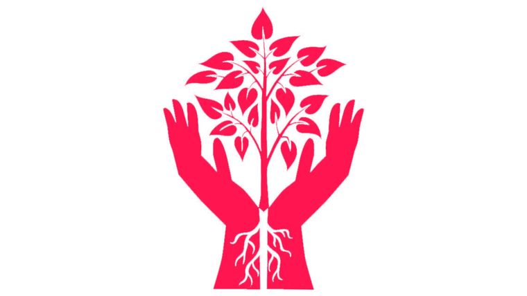 Test de personalidad