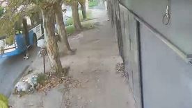 Un niño de cinco años resultó herido este lunes tras protagonizar un violento accidente al descender de un colectivo en la localidad bonaerense de Villa Fiorito.