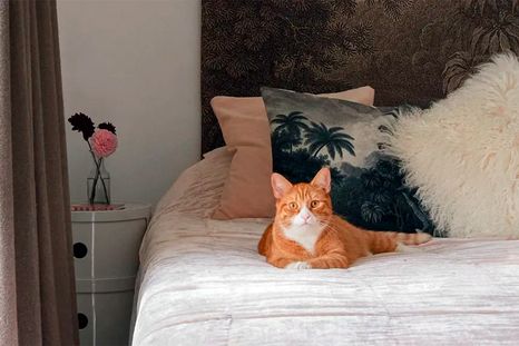 Foto: Future / Kristy Noble Photography