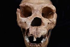 La investigación publicada en L’Anthropologie sostiene que se trata de la evidencia más antigua del contacto biológico entre ambos grupos humanos.