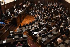 Foto: ALF PONCE MERCADO / MDZ