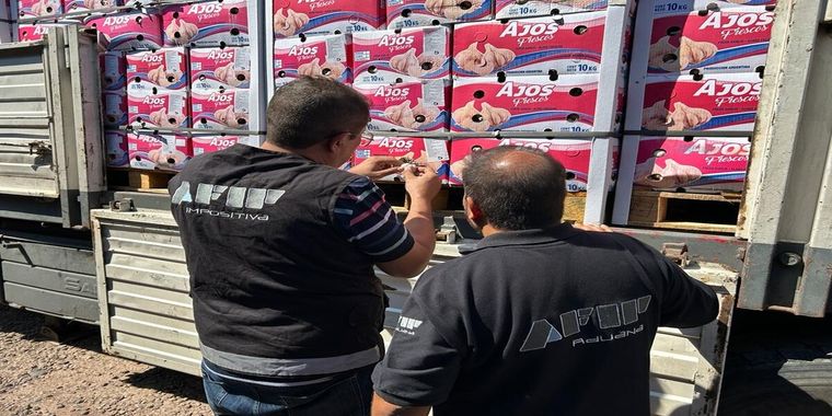 Así estuvieron el contrabando de ajo. Foto: Dirección General de Aduanas - AFIP
