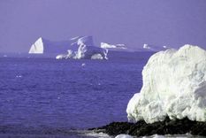 Vivimos en un planeta contaminado. Foto: Fundación Glaciares.