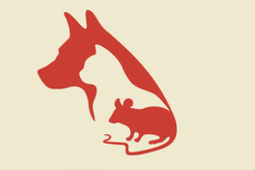 test de personalidad