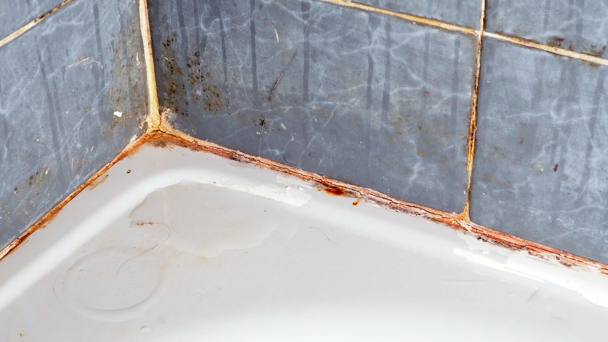 No es con vinagre: el truco casero para sacar los hongos de la ducha