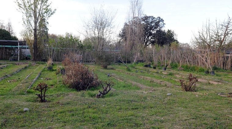 Foto: Alf Ponce / MDZ