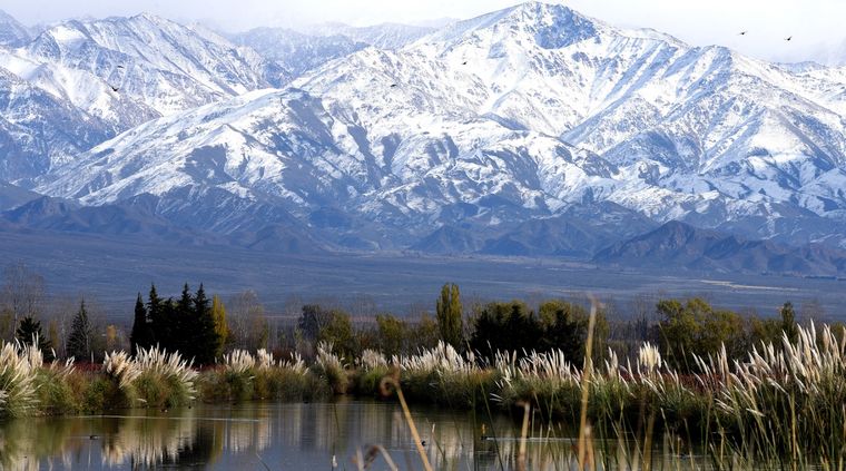 Foto: ALF PONCE MERCADO / MDZ