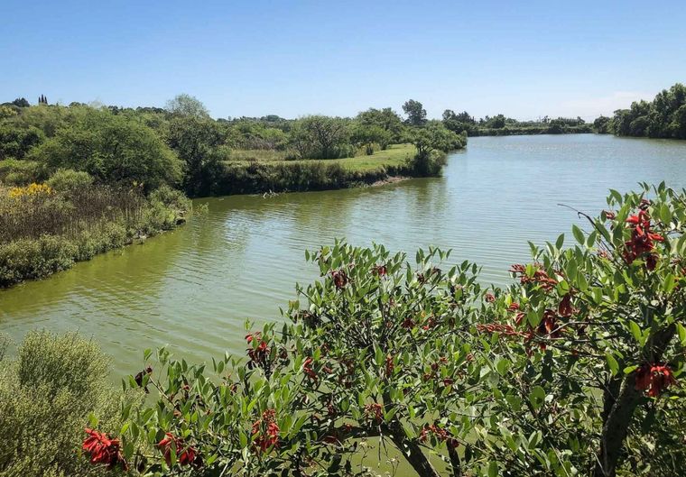 Estos sitios son ideales para conectar con la naturaleza Foto: Ruta Natural