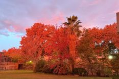 madrugada de otono en mendoza: en oportunidades parece irreal tanta belleza