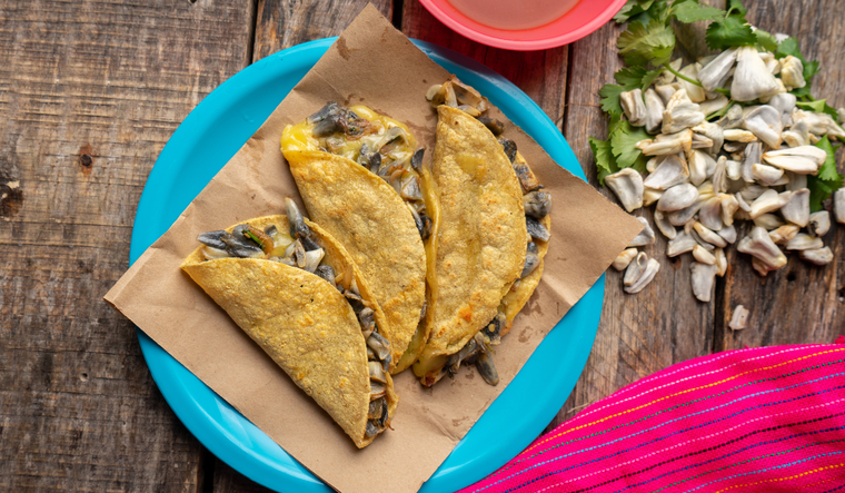 En muchas comunidades ind&iacute;genas, la receta de huitlacoche se ha transmitido por generaciones, manteni&eacute;ndose casi id&eacute;ntica desde la &eacute;poca prehisp&aacute;nica.