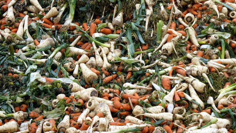 Comida perdida. Foto: TierraFértil.