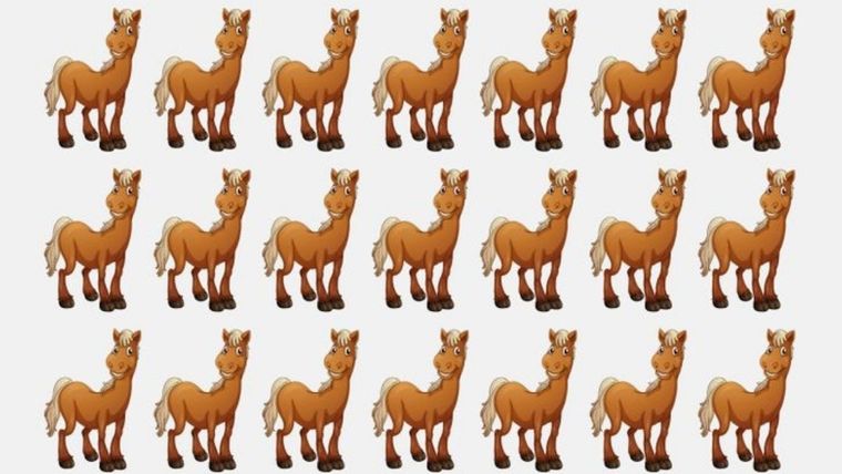 Acertijo visual, reto visual, caballo