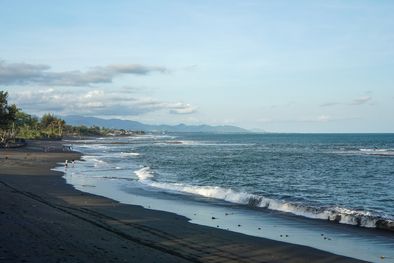 MDZol | playa arena