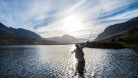 Qué se puede capturar, dónde y en qué fechas. Qué se puede capturar, dónde y en qué fechas.