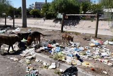 Foto: Rodrigo DAngelo / MDZ