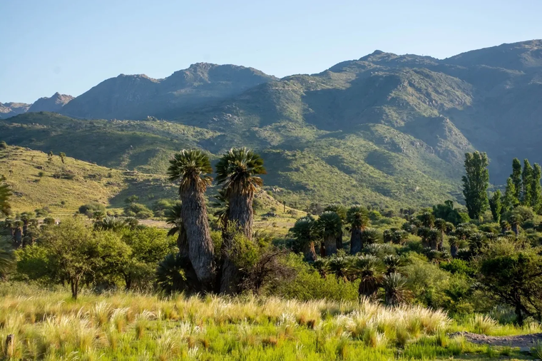 San Francisco del Monte de Oro: escapada ideal en el fin de semana largo