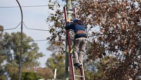 Edemsa realiza tareas de mantenimiento de manera periódica.