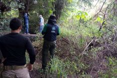 Los trabajos de búsqueda y excavación comenzaron el pasado 20 de octubre en el municipio de Salvatierra.