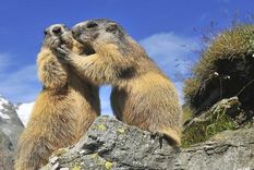 Foto: GETTY IMAGES