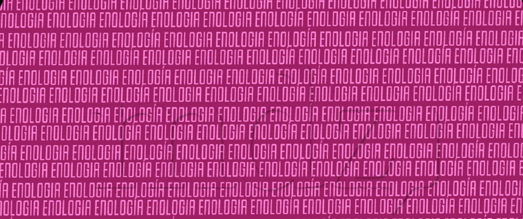 ACERTIJO VISUAL ACERTIJO VISUAL, RETO VISUAL, PALABRA Foto: MDZ ONLINE