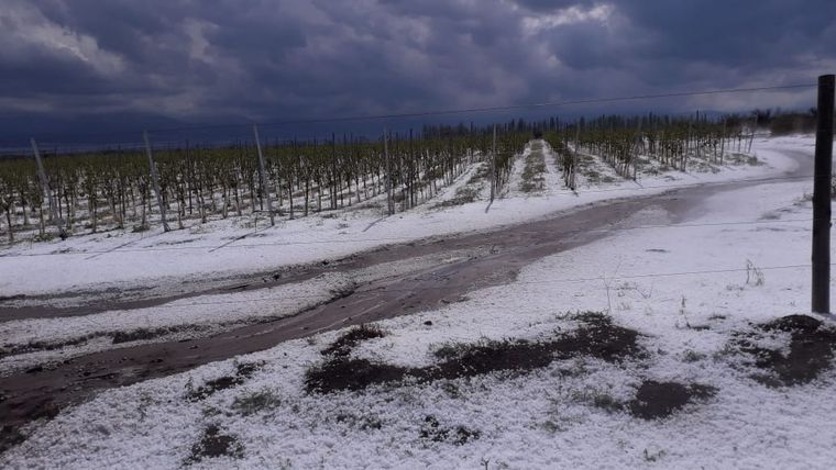 Granizo El granizo la semana pasada en Tupungato