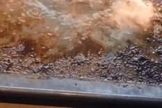 Video viral Foto: TikTok