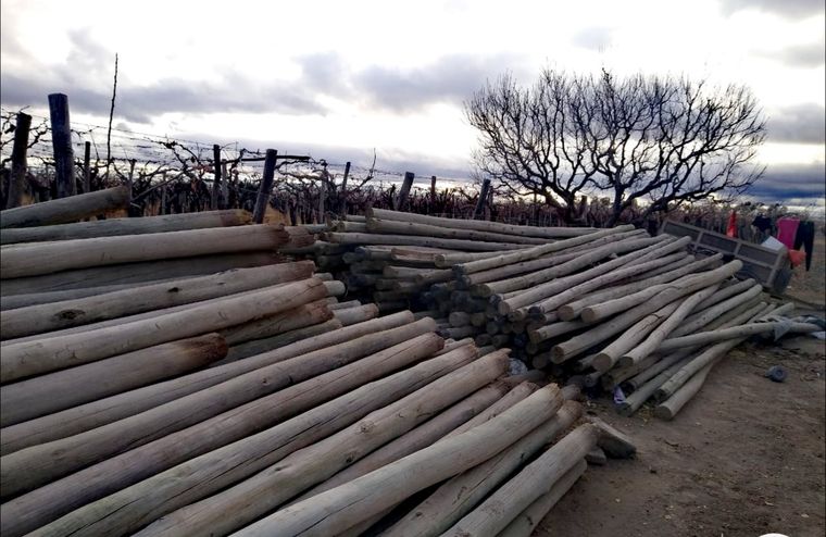 ¿Accidente o crimen? Este es el lugar en el que se habría producido uno de los accidentes...aunque otros hablan de paliza.