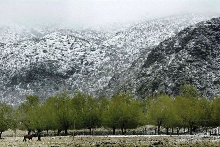 Foto: publicada por El Cuco Digital