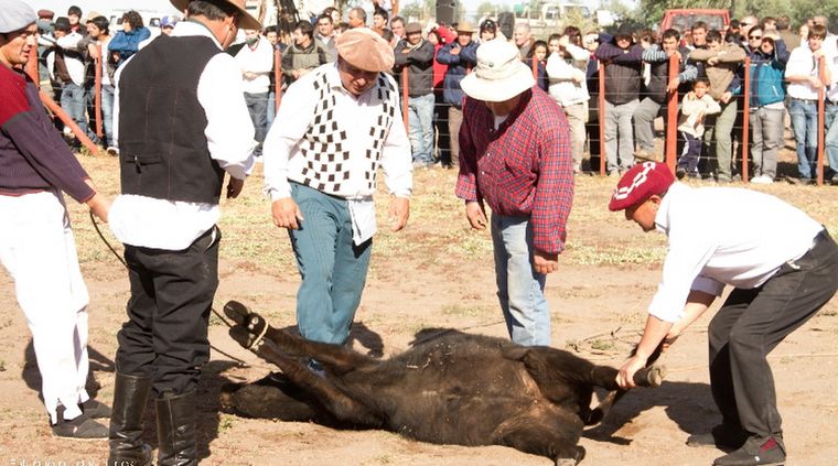 La Sociedad Rural propuso un plan para Mendoza.&nbsp;