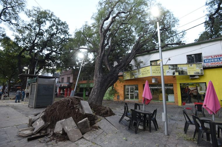 Foto: Maximiliano Ríos / MDZ