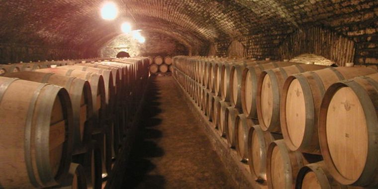 Los vinos chilenos bajo la lupa económica.